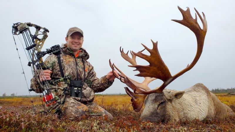 elk vs caribou