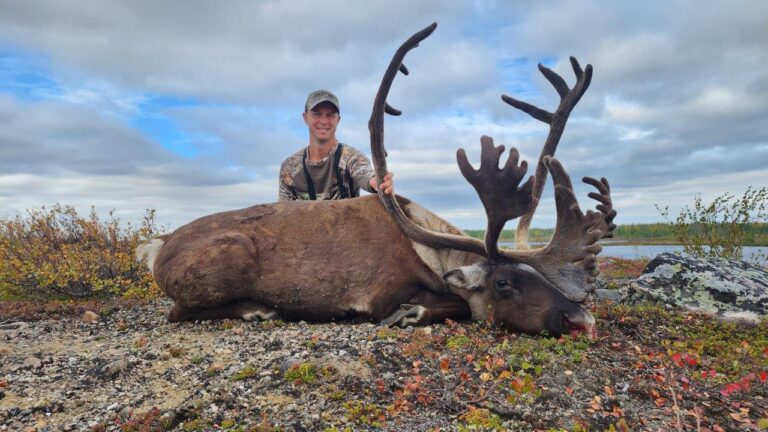 Episode title card: Nunavut Caribou