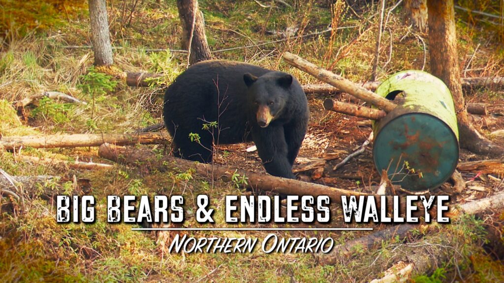 Title card for the episode Big Bears and Endless Walleye, filmed in northern Ontario