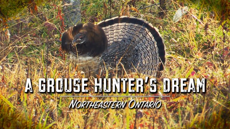 Episode title card: A Grouse Hunter’s Dream