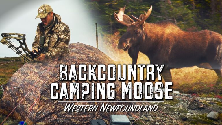Episode title card: Back Country Camping Moose