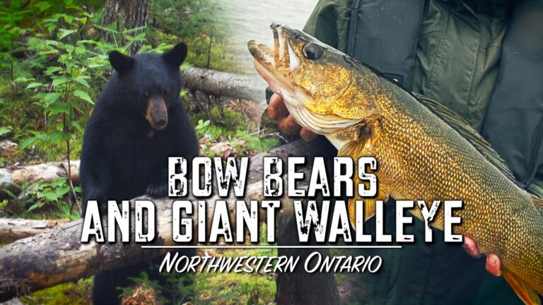 Episode title card: Bow Bears & Giant Walleye