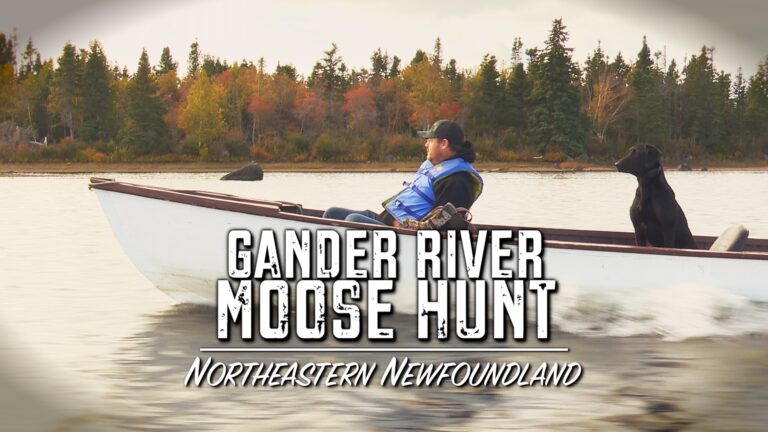 Episode title card: Gander River Moose Hunt