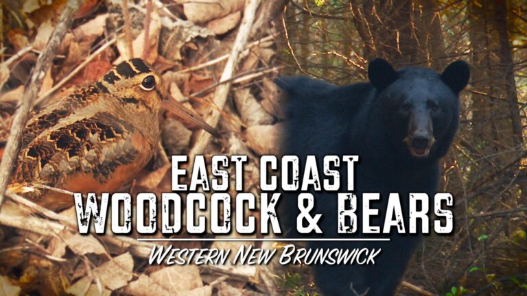 Episode title card: East Coast Woodcock & Bears