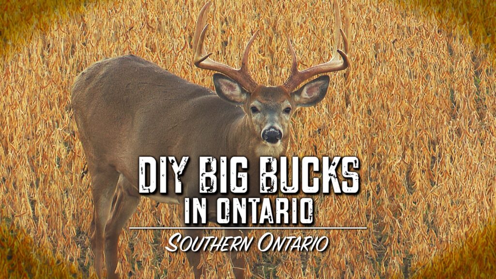 Episode title card: DIY Big Bucks in Ontario